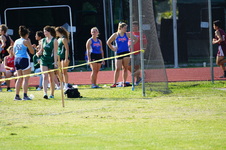 Enlarge photo 220