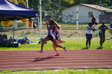 Enlarge photo 312