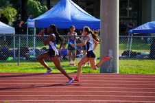 Enlarge photo 313