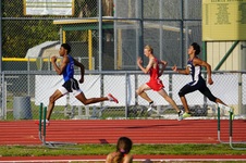 Enlarge photo 519