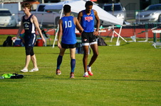 Enlarge photo 556