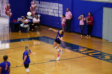 Enlarge photo 329