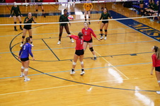 Enlarge photo 79