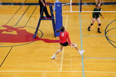Enlarge photo 272