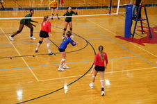Enlarge photo 242