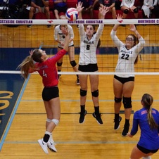 Mustang Inv. vs Robinson