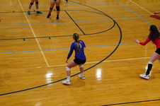 Enlarge photo 153