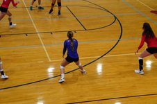 Enlarge photo 155
