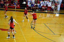Enlarge photo 202