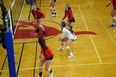 Enlarge photo 218