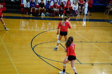 Enlarge photo 241