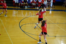 Enlarge photo 242