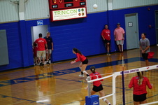 Enlarge photo 497