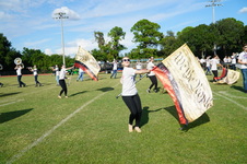 Enlarge photo 215