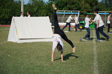 Enlarge photo 519