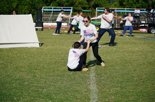Enlarge photo 521
