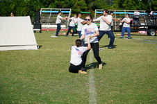 Enlarge photo 523