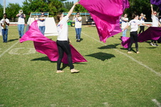 Enlarge photo 585