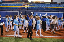 Enlarge photo 382