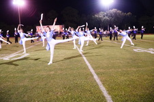 Enlarge photo 81