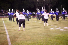 Enlarge photo 53