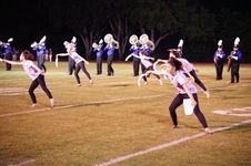 Enlarge photo 59