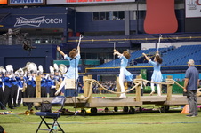 Enlarge photo 207