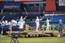 Enlarge photo 239