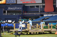 Enlarge photo 245