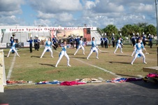 Enlarge photo 77