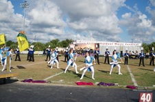Enlarge photo 392