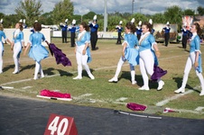 Enlarge photo 461