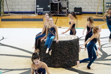 Enlarge photo 242