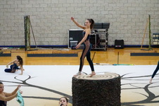 Enlarge photo 252