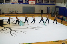Enlarge photo 290