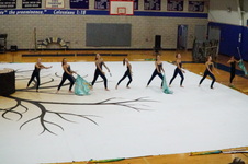 Enlarge photo 291