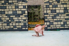 Enlarge photo 30