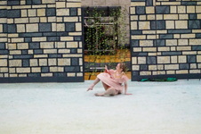 Enlarge photo 31