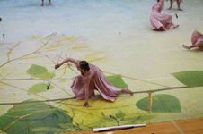 Enlarge photo 112