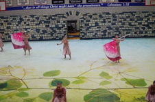 Enlarge photo 145