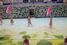 Enlarge photo 146