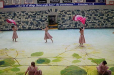 Enlarge photo 149