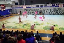 Enlarge photo 152