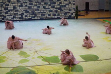 Enlarge photo 264