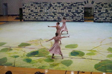 Enlarge photo 271