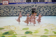 Enlarge photo 291