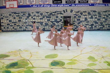 Enlarge photo 294