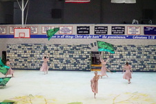 Enlarge photo 311