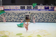 Enlarge photo 314