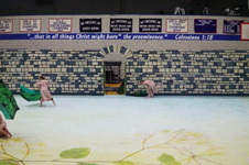 Enlarge photo 317